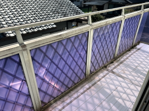 �y����s���C������� �����O���t�H�[���\��ˌ��āz �{��s���Y��� �{�� ���� �V�z�Z�� ���ÏZ�� ���������R�R ����s���C�� �s���Y��� �P�P�V�U�R�@�o���R�j�[�ʐ^ ����v�����j���O�s���Y��񔄂��