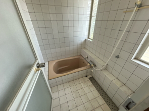 �y����s���C������� �����O���t�H�[���\��ˌ��āz �{��s���Y��� �{�� ���� �V�z�Z�� ���ÏZ�� ���������R�R ����s���C�� �s���Y��� �P�P�V�U�R�@���C�ʐ^�� ����v�����j���O�s���Y��񔄂��