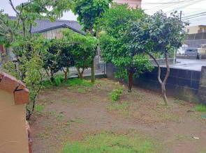 �������������������� e��rakutyou �݂₴���������炭���傤 �{��s���Y ���ݏ�� �݉� �A�p�[�g �}���V���� �݉� �������������O�X �{��s�i�y������ �݉ƂS�k�c�j�@�P�X�W�S �쐼����ʐ^�@���ݎ؉� ����v�����j���O���