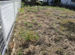  y{sycynz {sY { y yn n OT@UTRR@kגnƂ̃tFXʐ^ vjOyn