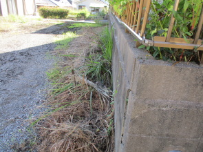  y{sycynz {sY { y yn n OT@UTRR@쑤גnƂ̃ubNʐ^ vjOyn