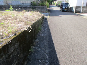  y{sycynz {sY { y yn n OT@UTRR@k̐HƂ̃ubNʐ^ vjOyn